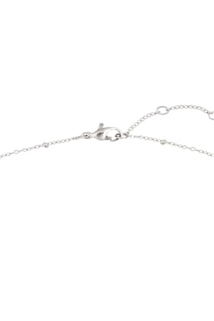 Ketting Constellation - Steenbok Zilver Stainless Steel h5 Afbeelding3